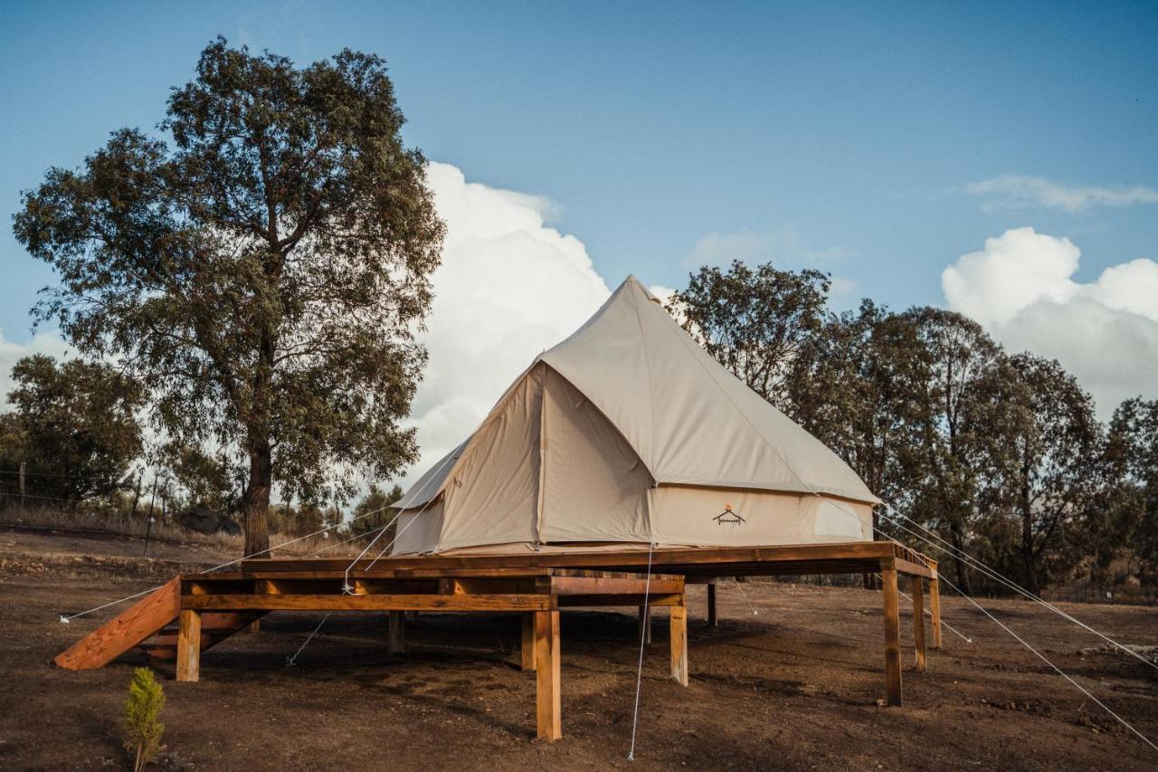 Lago Valle Wine Glamping Valle de Guadalupe Luaran gambar