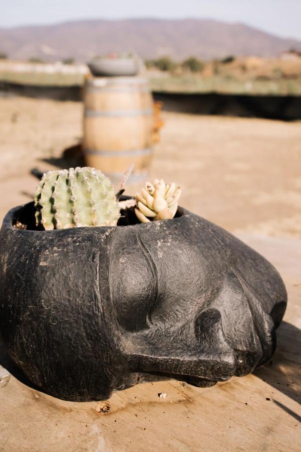 Lago Valle Wine Glamping Valle de Guadalupe Luaran gambar
