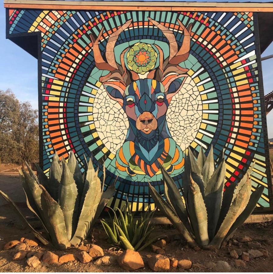 Lago Valle Wine Glamping Valle de Guadalupe Luaran gambar