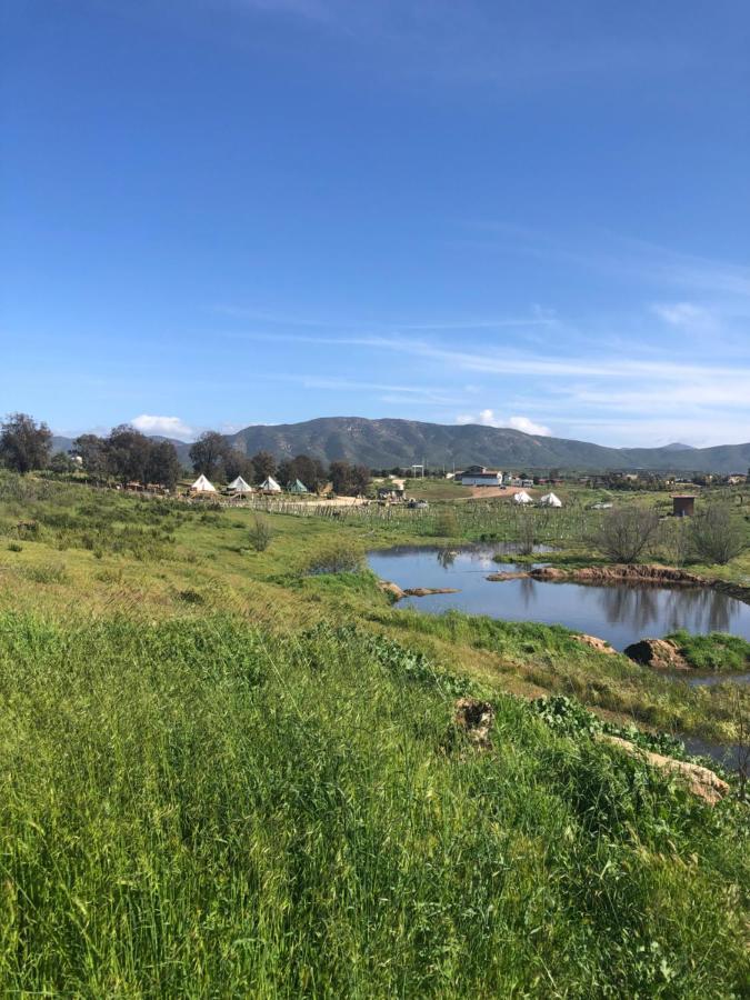 Lago Valle Wine Glamping Valle de Guadalupe Luaran gambar