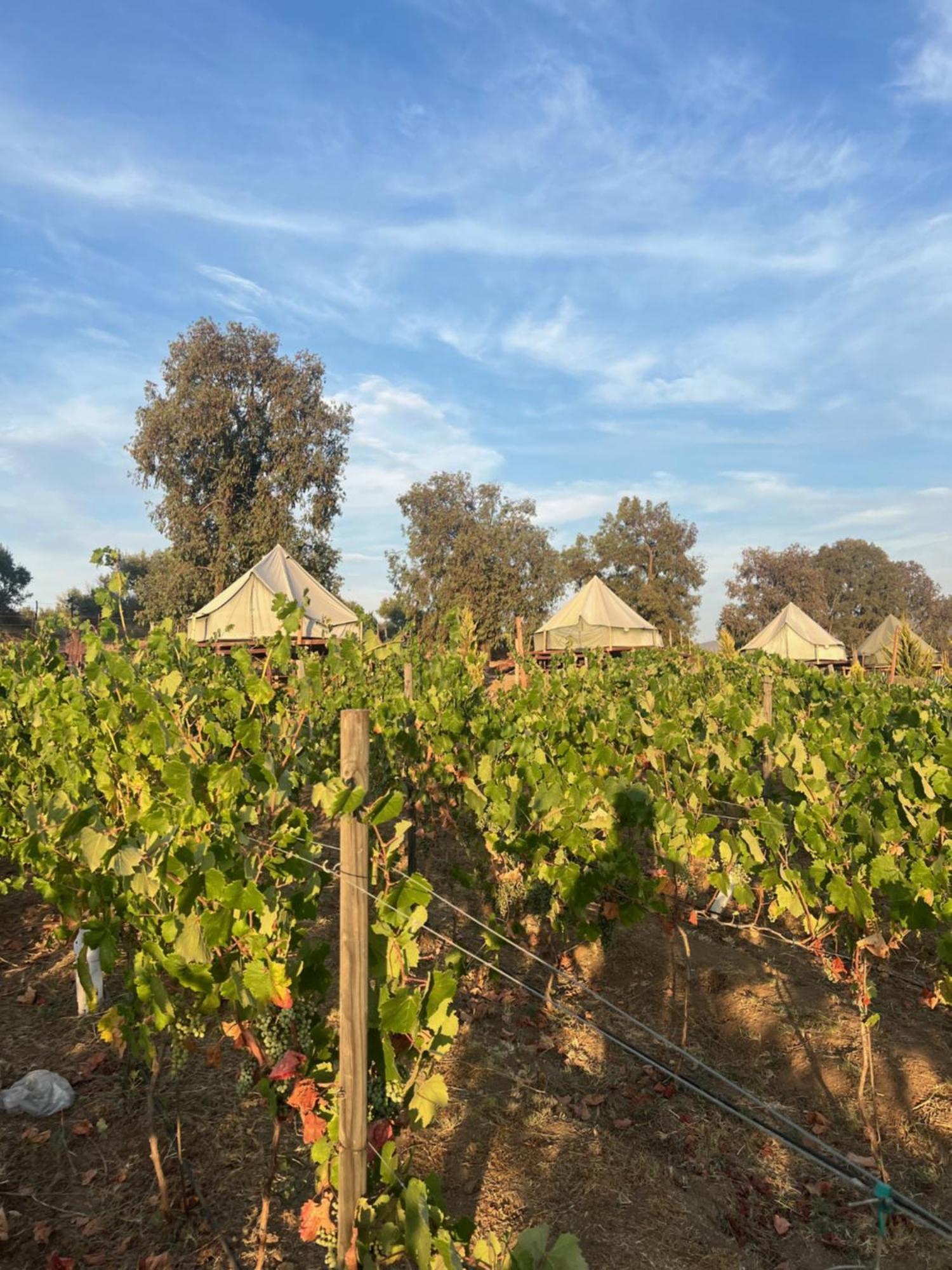 Lago Valle Wine Glamping Valle de Guadalupe Luaran gambar
